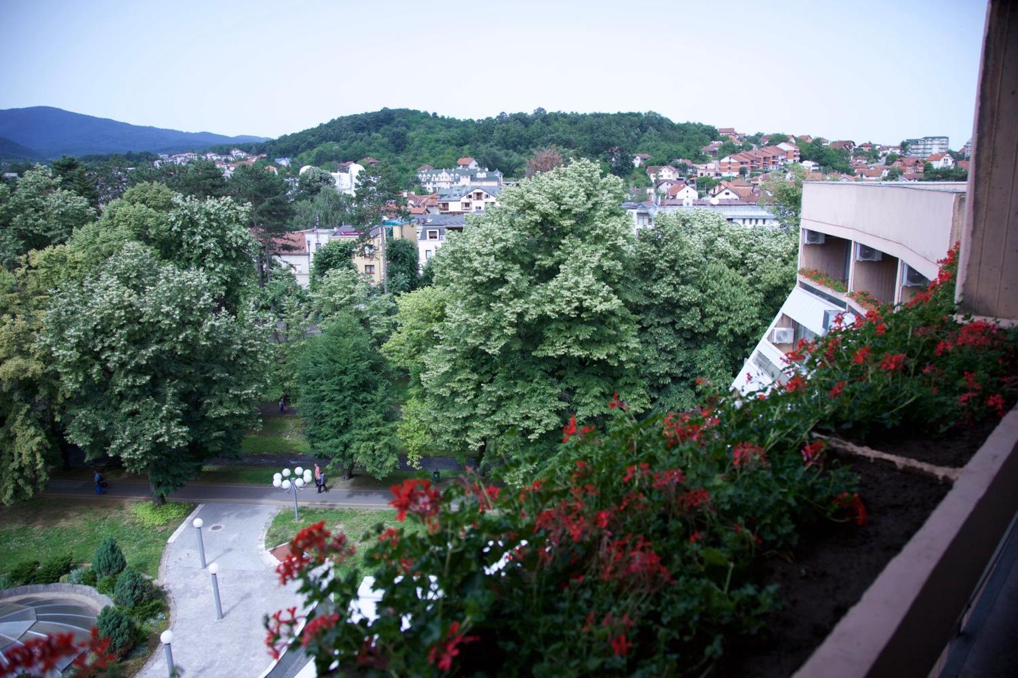 Medical And Spa Centre Merkur Vrnjačka Banja Oda fotoğraf